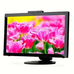 NEC E232WMT-BK 23.0" 1920 x 1080 60 Hz Monitor