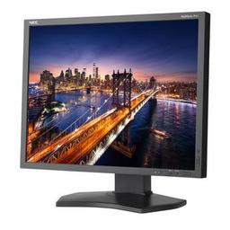 NEC P212-BK 21.0" 1600 x 1200 60 Hz Monitor