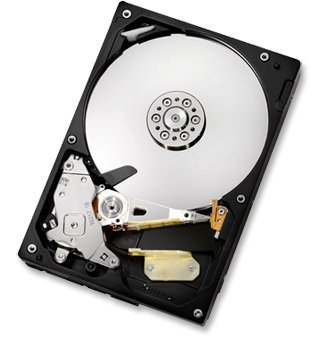 Hitachi Deskstar 5K1000 1 TB 3.5" 5400 RPM Internal Hard Drive